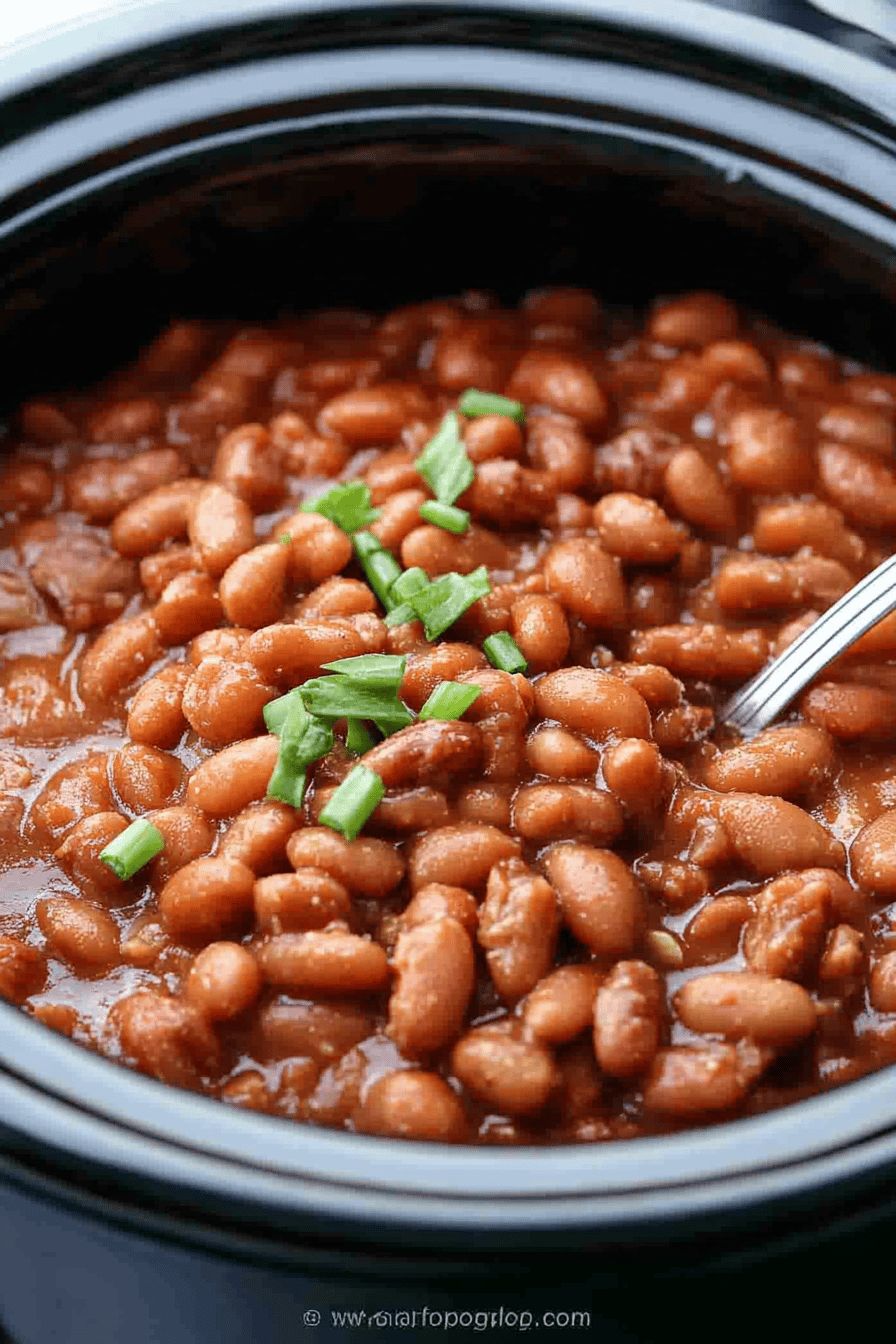 Crock Pot Ranch Beans Recipe slice on plate showing perfect texture and swirl pattern
